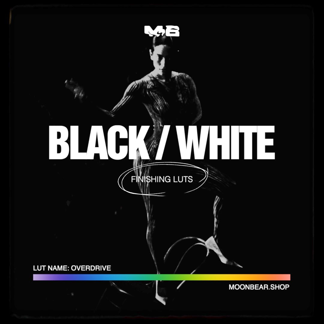 BLACK & WHITE LUTs