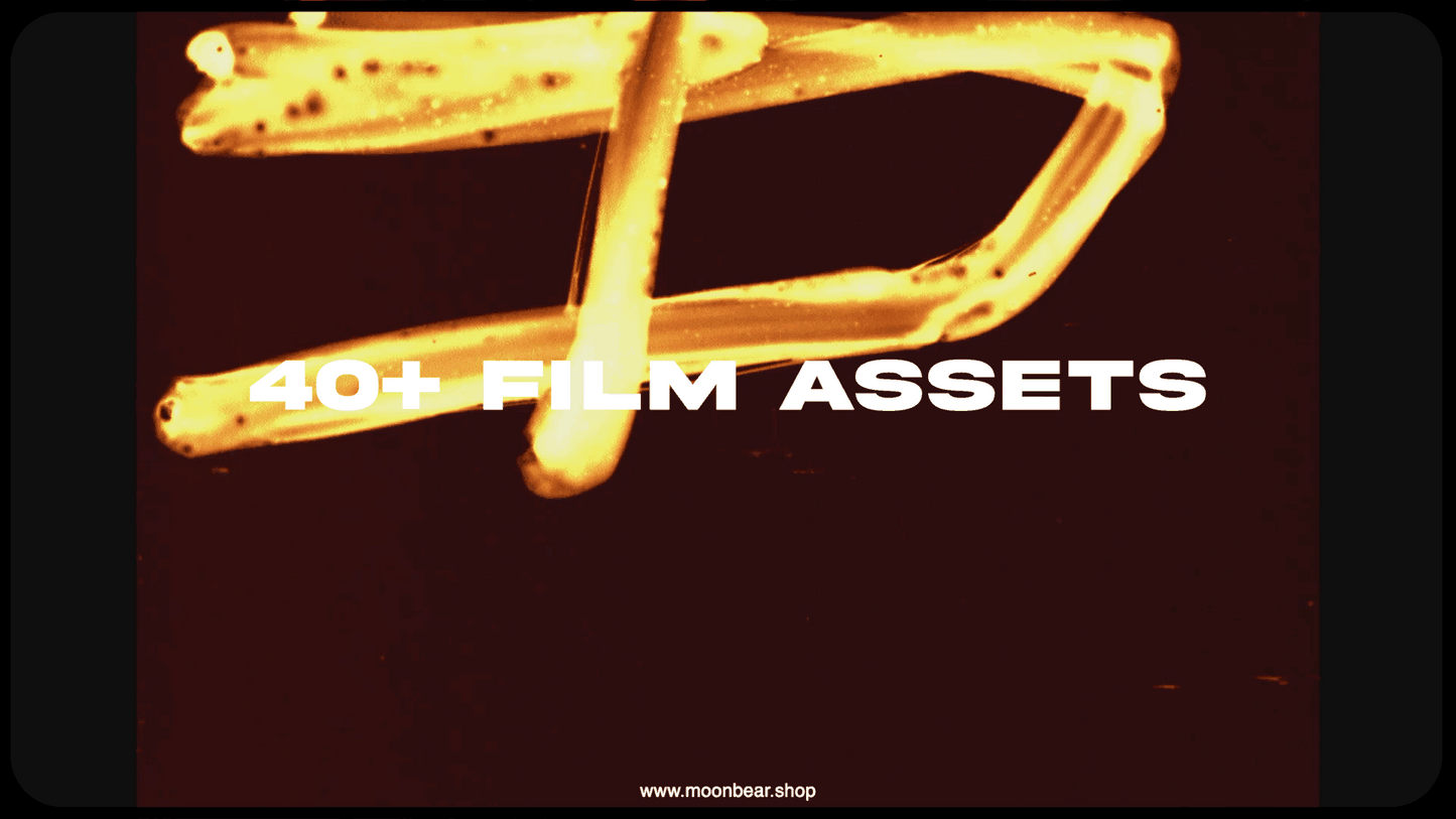ARCHIVE - FILM TEXTURES - moonbear.shop