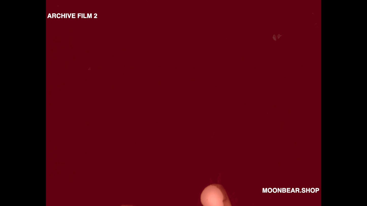 ARCHIVE FILM 2 - moonbear.shop