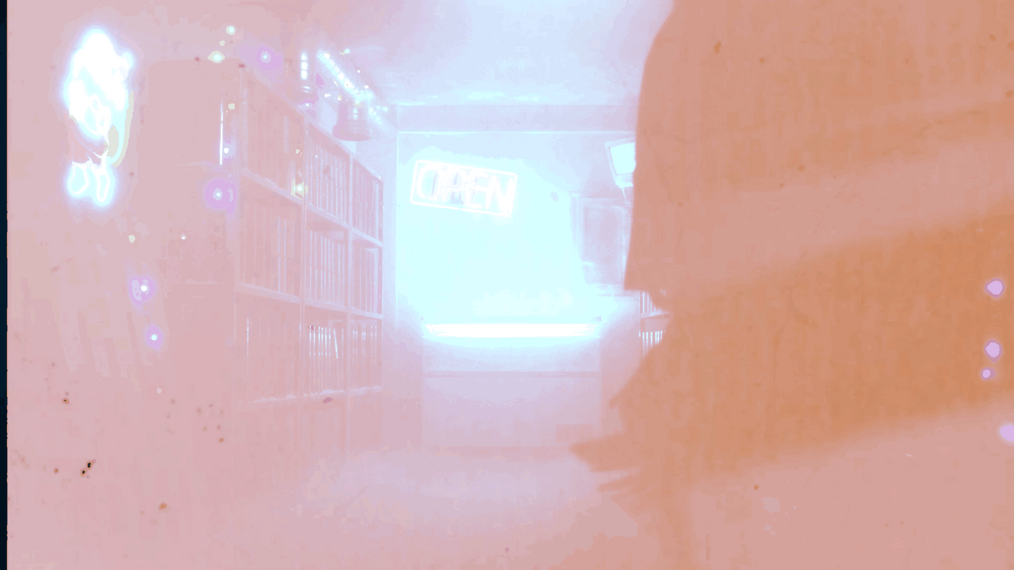 ARCHIVE FILM 2 - moonbear.shop