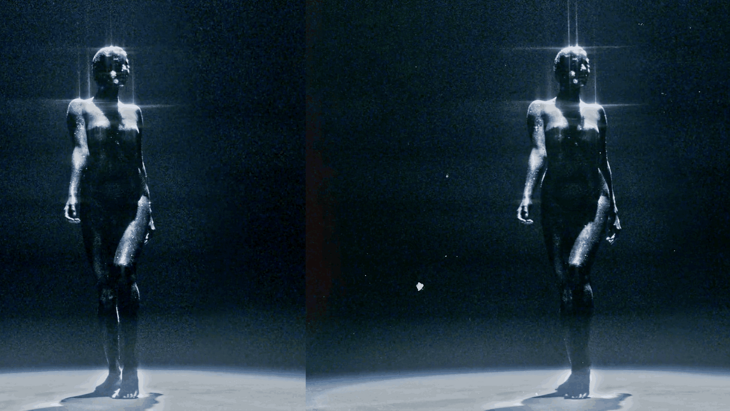 ARCHIVE FILM 2 - moonbear.shop
