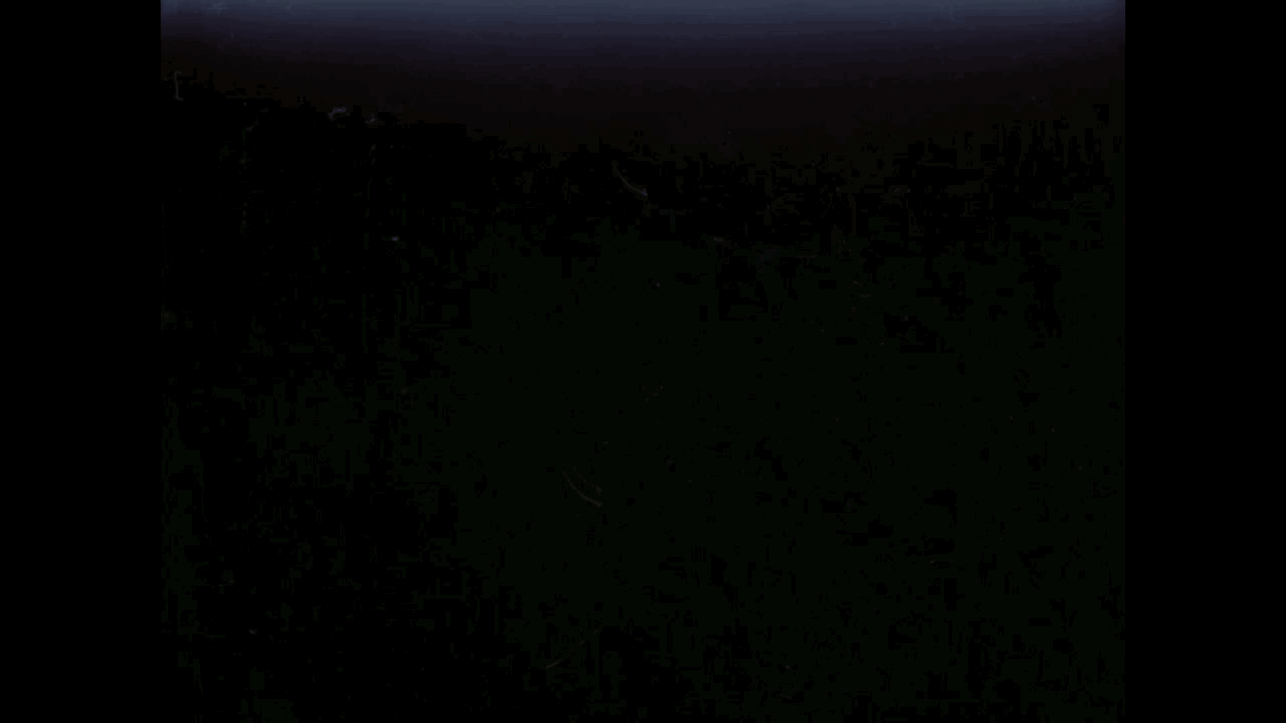 ARCHIVE FILM 2 - moonbear.shop