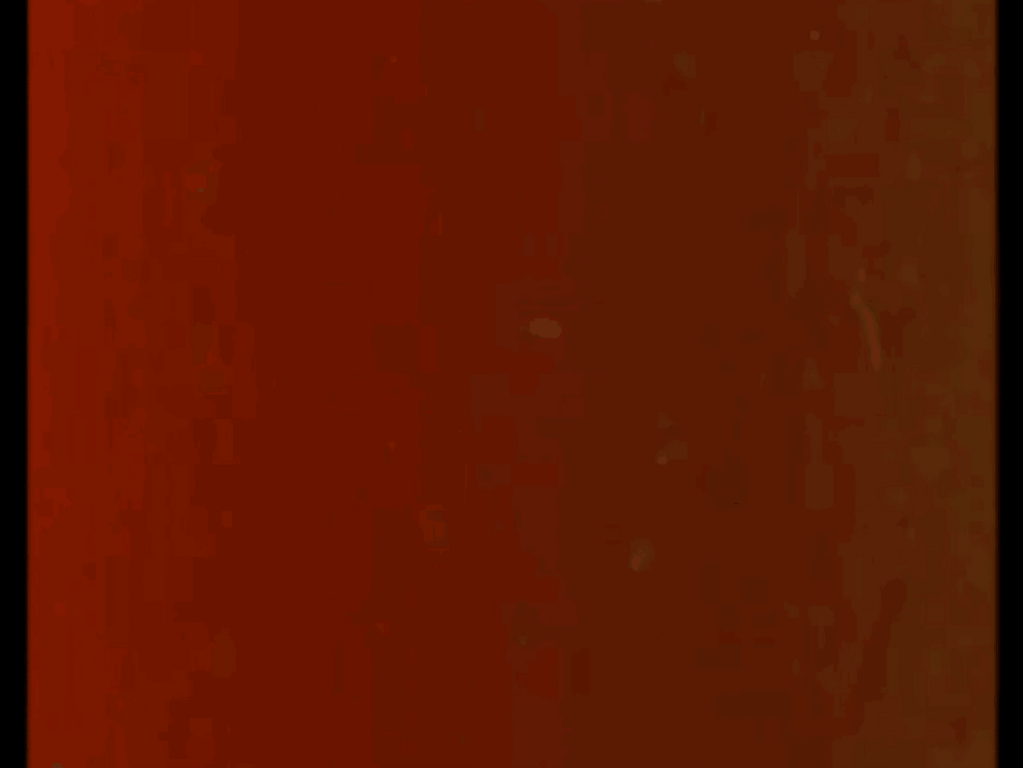 ARCHIVE - FILM TEXTURES - moonbear.shop