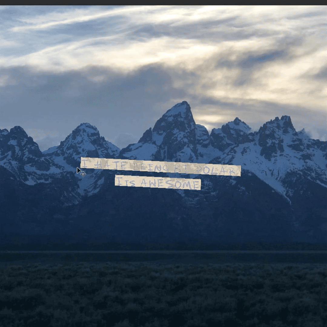 ALBUM ART ARCHIVE - moonbear.shop