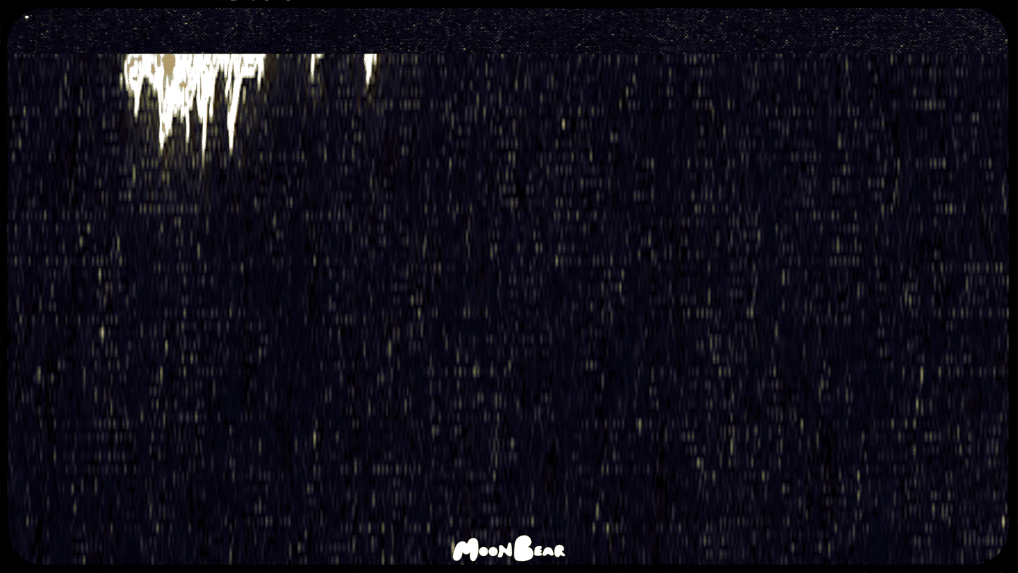 ZINE TRANSITIONS - moonbear.shop