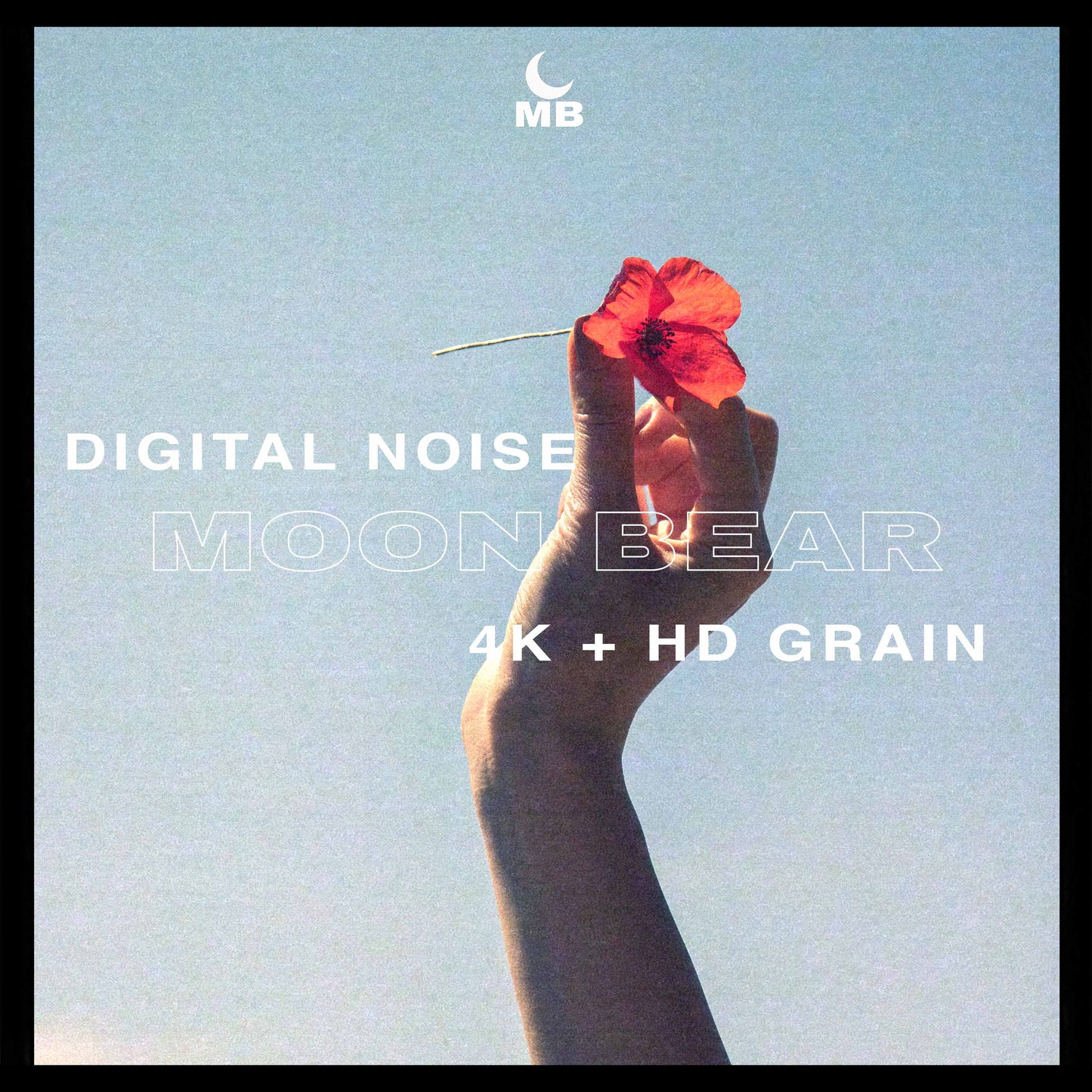 NOISE - 4K VHS Grain - moonbear.shop