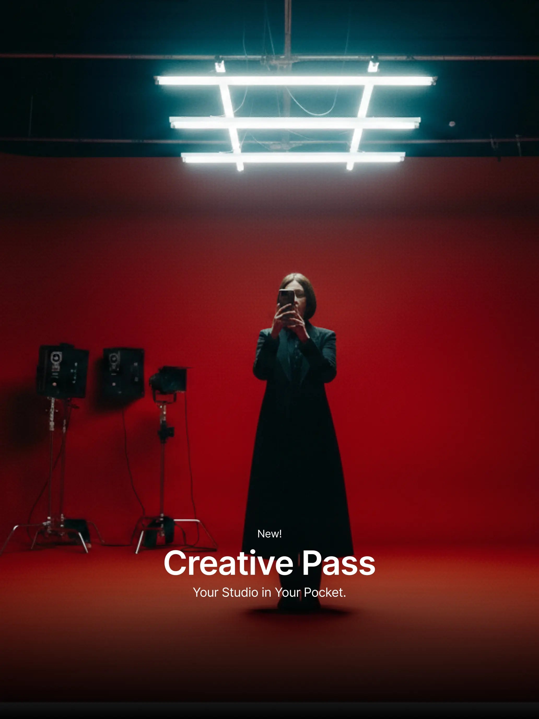 Introducing, Creative Pass MoonBear