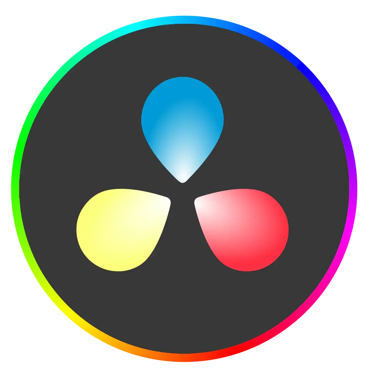 DaVinci-Resolve MoonBear