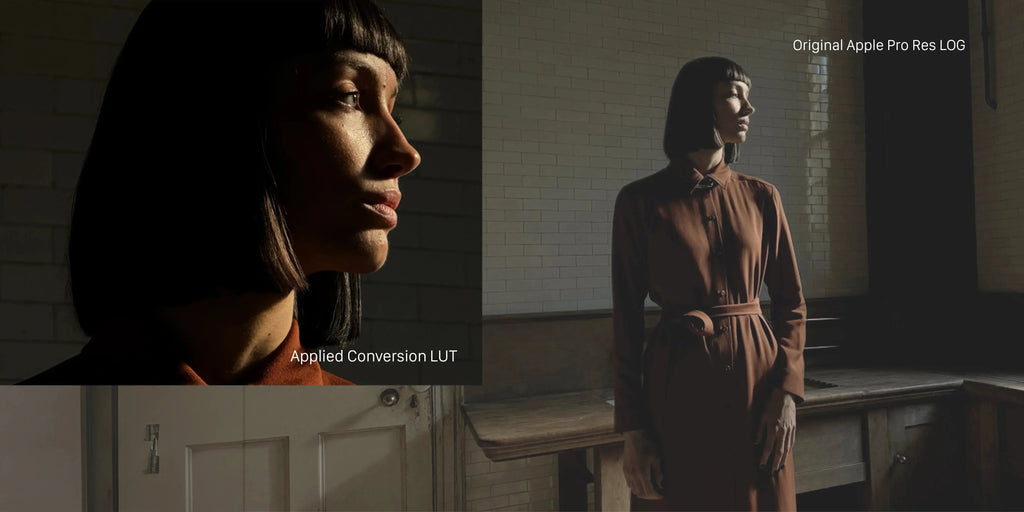 Apple ProRes Log Conversion LUTs moonbear.shop