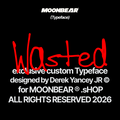 Wasted Font