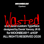 Wasted Font