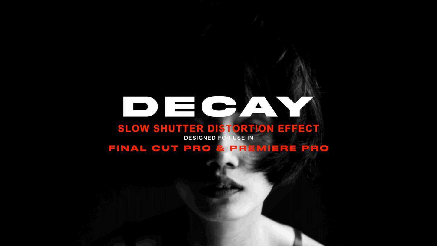 DECAY - Visual Echo Effect - moonbear.shop