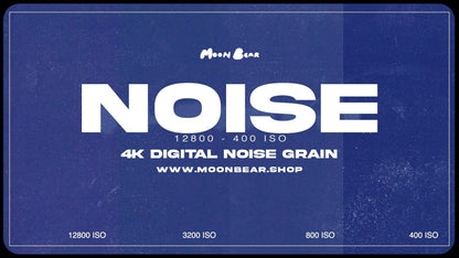 NOISE - 4K VHS Grain - moonbear.shop