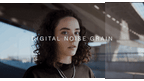 NOISE - 4K VHS Grain - moonbear.shop