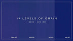 NOISE - 4K VHS Grain - moonbear.shop
