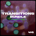 Transition Bundle moonbear.shop