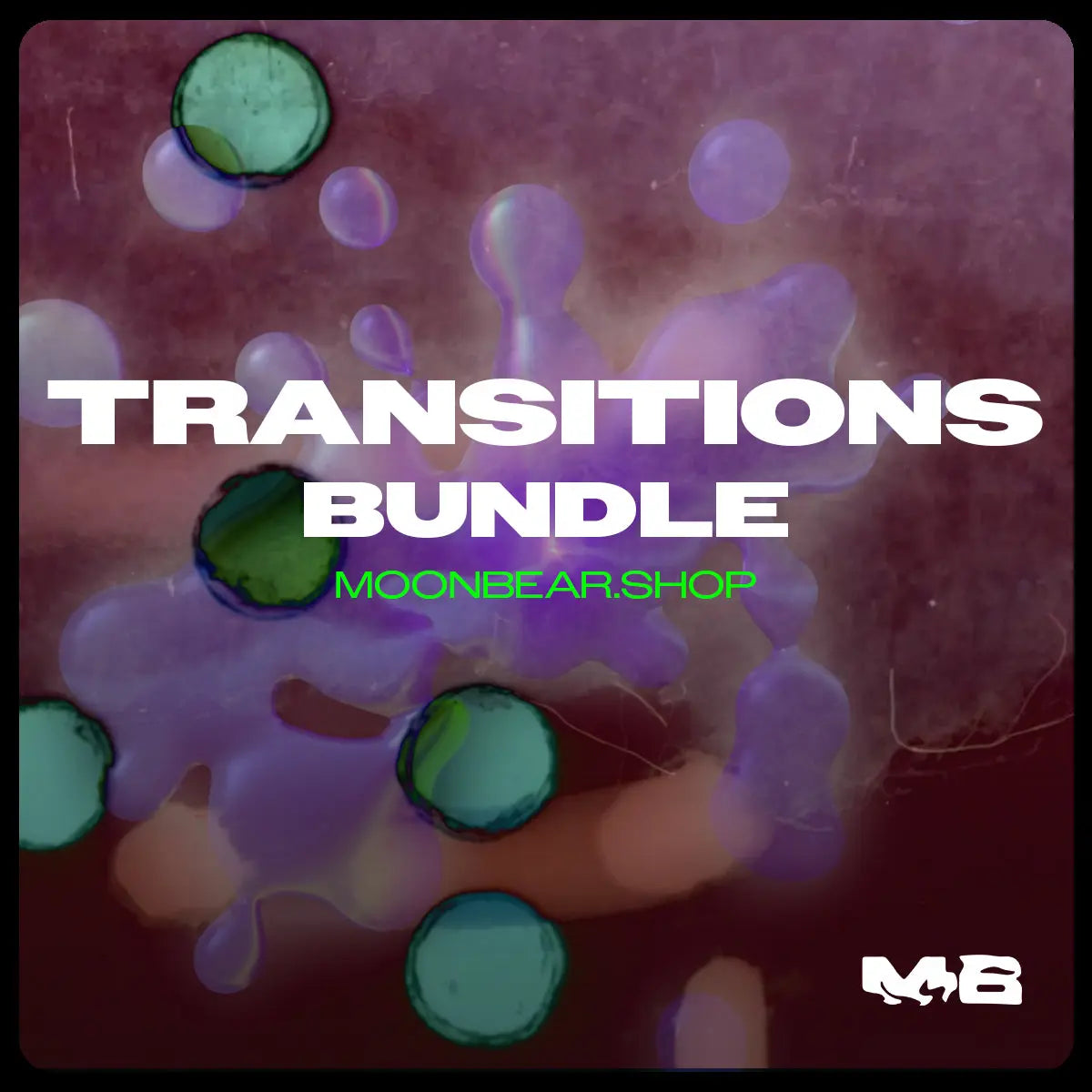 Transition Bundle moonbear.shop