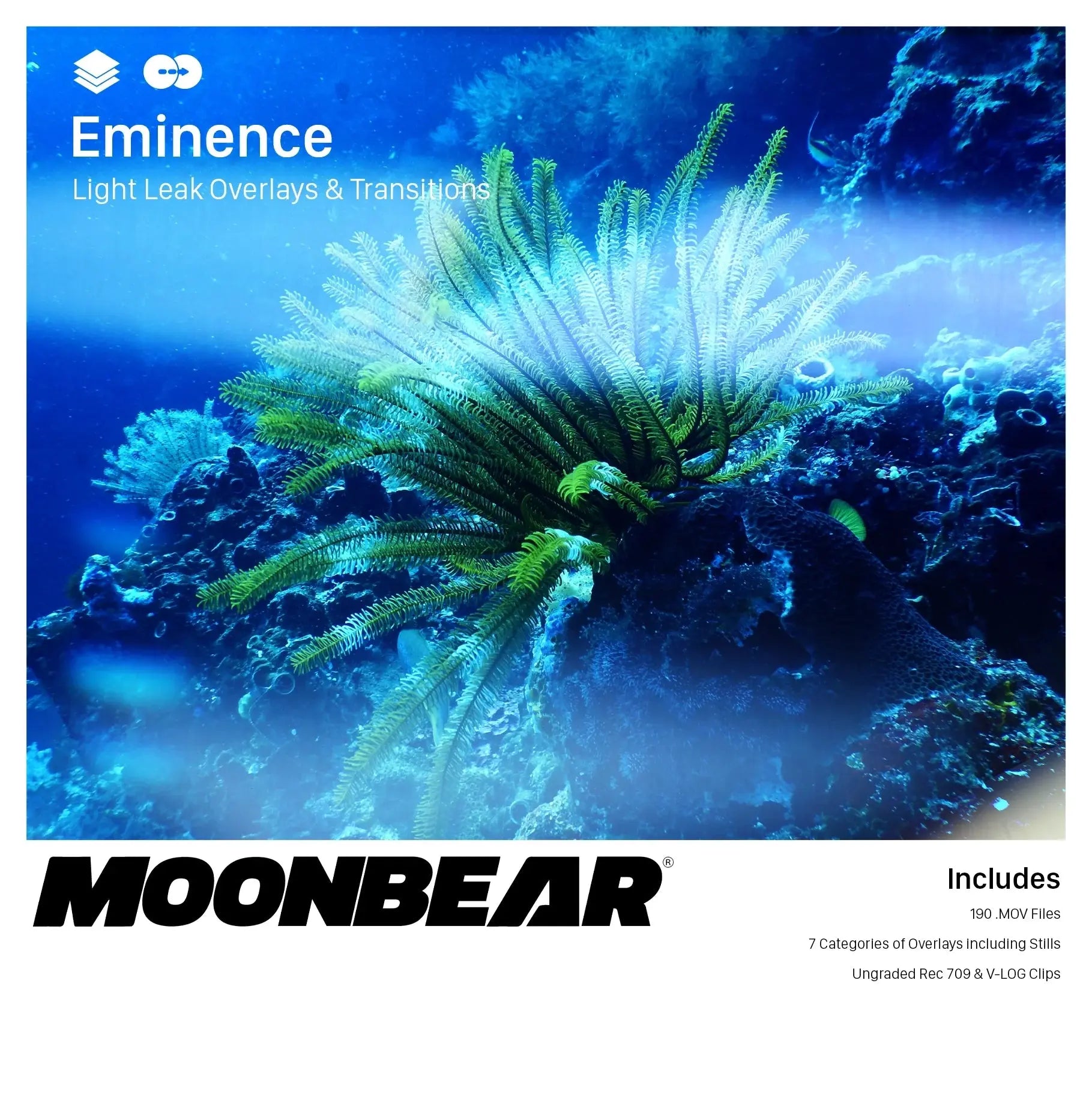 Eminence - Light leak overlays moonbear.shop